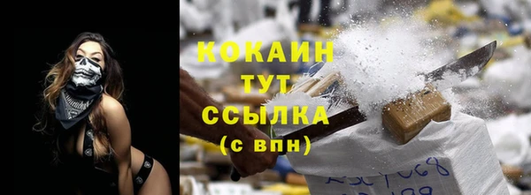 индика Белоозёрский