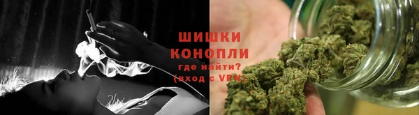 индика Белоозёрский