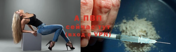 эйфоретик Беломорск